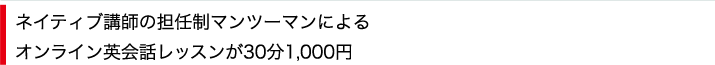 ネイティブ講師の担任制マンツーマンによるオンライン英会話レッスンが30分1,000円
