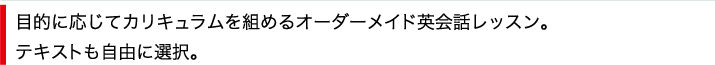 目的に応じてカリキュラムを組めるオーダーメイド英会話レッスン。テキストも自由に選択。